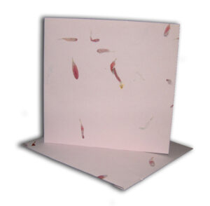 Aster Pink Card blanks with matching envelopes Dry Flowers 1511-604