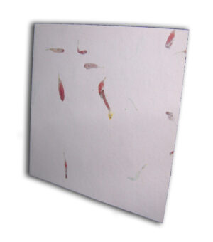 Aster Pink Card blanks with matching envelopes Dry Flowers 1511-603