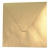 E8 Antique Gold (PM40-14) Envelope-0