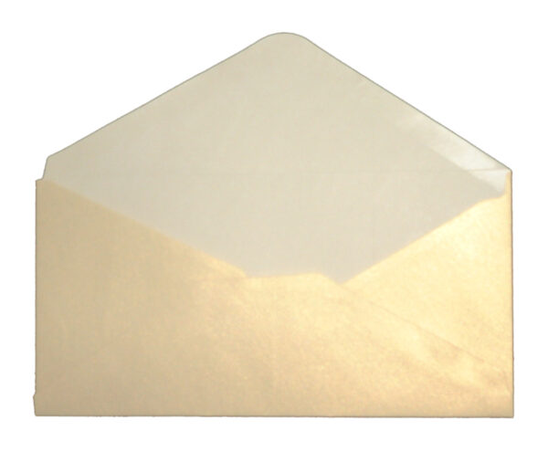 DL Light Gold (PM40-19) 110mm x 220mm pearl metallic invitations Envelope-710