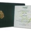 AK 302 Green-0