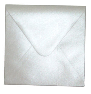 E8 Silver (PM40-27) Envelope-0